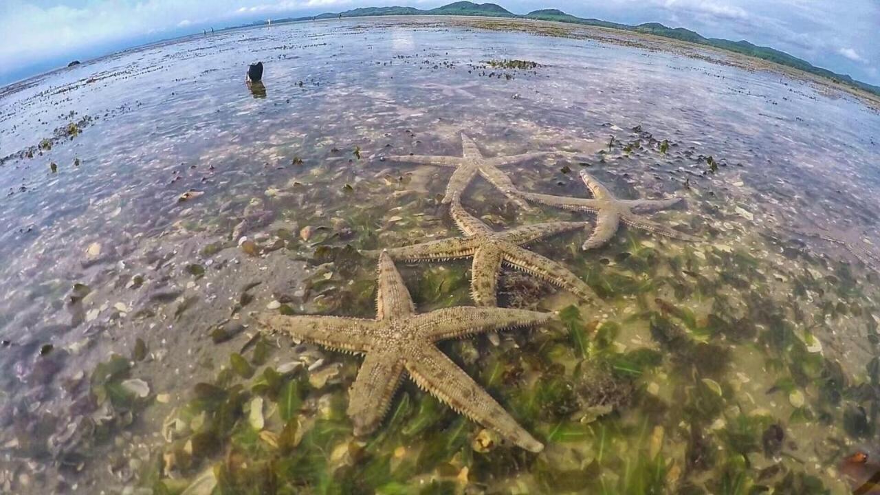 Bankruchaem Homestay Kohpu Ko Pu Buitenkant foto